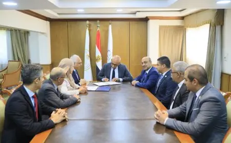 نتيجة الدبلومات الفنية 2025: اكتشف نسبة النجاح في جميع التخصصات!