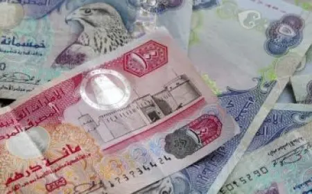 فرص عمل البنك العربي الأفريقي 2025: تعرف على الشروط والإجراءات للتقديم