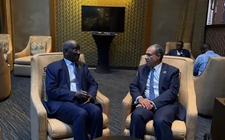 وزير الخارجية والهجرة يُجري مباحثات حيوية مع نظرائه الأفارقة ومسئولي الاتحاد الإفريقي لتعزيز التعاون الإقليمي