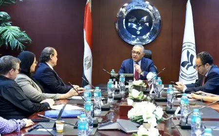 مجموعة كريستال مارتن العالمية تخطط لإنشاء مصنع مبتكر للمنسوجات والملابس الجاهزة في مصر