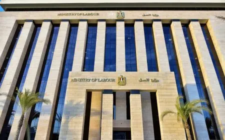 فرص عمل جديدة في لبنان: وزارة العمل تعلن عن 3 وظائف في القطاع الزراعي براتب شهري 500 دولار