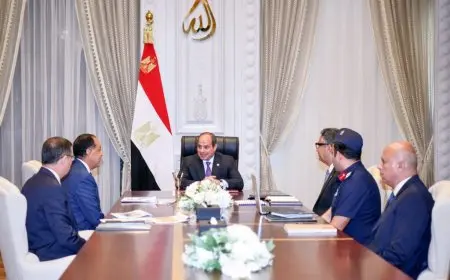 الرئيس السيسي يشدد على ضرورة تكامل الجهود في تعزيز الأمن الغذائي بين مؤسسات الدولة