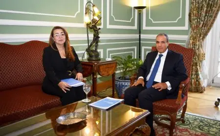 وزير الخارجية: غادة والي تمثل عنوان فخر للمرأة العربية في مواقع صنع القرار العالمي