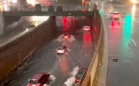 أحمد موسى: أمطار نيويورك لو كانت في مصر لكانت «مندبة»!