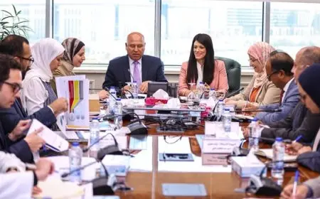 اجتماع حكومي موسع لوضع خطة استراتيجية للتعامل مع آلية تعديل حدود الكربون CBAM