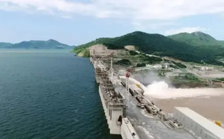 استراتيجية محكمة: كيف تتعامل مصر مع أزمة السد الإثيوبي؟