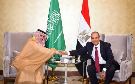 وزيرا خارجية مصر والسعودية يناقشان آخر مستجدات الأوضاع في غزة وسوريا