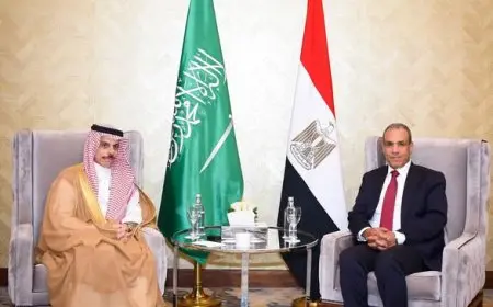 وزير الخارجية يشدد على رفضه القاطع لأي محاولات تهدد العلاقات المصرية السعودية