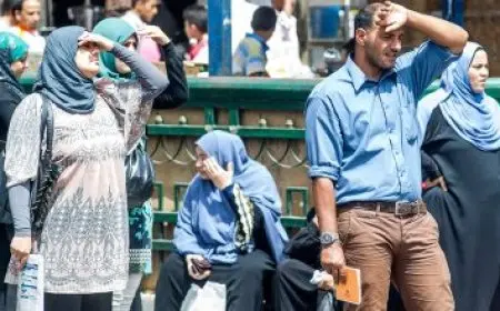 التسجيل في تنسيق الدبلومات الفنية 2025: تعرف على الكليات والمعاهد المتاحة وروابط التسجيل الرسمية!