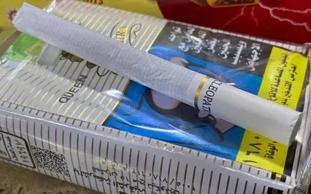 ارتفاع أسعار السجائر المحلية في الأسواق: 5 جنيهات للعلبة الجديدة!