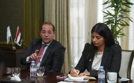 وزير المالية يؤكد: الاقتصاد المصري في المسار الصحيح لتحقيق النمو المستدام