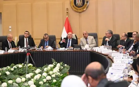 “استثمارات بقيمة 216.5 مليون دولار: الموافقة على إنشاء 3 مصانع جديدة في 3 محافظات”