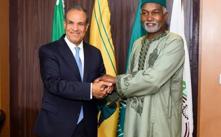 اجتماع استراتيجي بين وزير الخارجية ونظيره النيجيري لتعزيز التعاون الإفريقي وتوسيع آفاق الشراكة