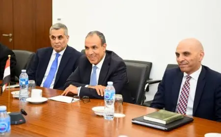 مصر تعلن دعمها الكامل لجهود نيجيريا في مكافحة الإرهاب بمفهوم شامل، وزير الخارجية يؤكد التعاون الفعّال