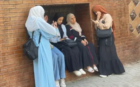 احصل على نتيجة الثانوية العامة 2025 في 90 ثانية فقط! اكتشف الطريقة السهلة والموقع المباشر الآن!