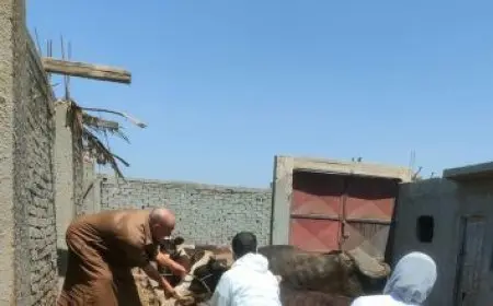 اكتشف رابط نتيجة الثانوية العامة 2025 للفرعين العلمي والأدبي مع نسبة نجاح مذهلة تبلغ 79.2%!