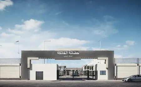 وزيرة التنمية المحلية تعلن استثمار 210 مليون جنيه لإنشاء أول حضانة للسيارات المتروكة والتالفة في القليوبية