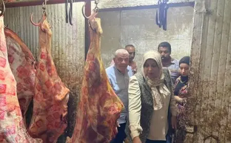 محافظ المنوفية يكشف عن ضبط 5 أطنان من اللحوم غير المطابقة للمجازر في قويسنا!