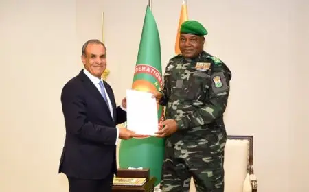 وزير الخارجية يسلم رسالة مهمة من الرئيس السيسي إلى رئيس جمهورية النيجر لتعزيز العلاقات الثنائية