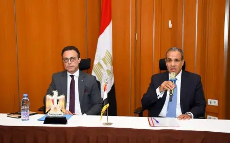 وزير الخارجية يتواصل مع الجالية المصرية في مالي لتعزيز العلاقات والانتماء الوطني
