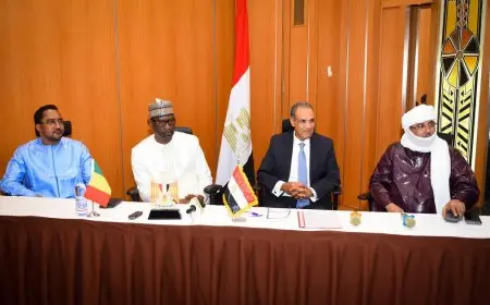 وزير الخارجية يجتمع بخريجي الجامعات المصرية في مالي لتعزيز العلاقات والقيم الثقافية