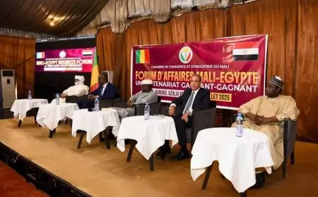 “وزير الخارجية يطلق منتدى الأعمال المصري – المالي بمشاركة بارزة من القطاعين العام والخاص”