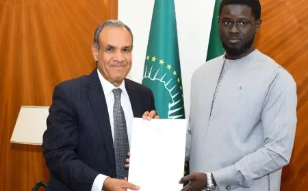 “وزير الخارجية والهجرة ينقل رسالة خطية هامة من الرئيس السيسي إلى رئيس جمهورية السنغال”