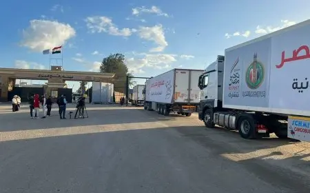 “مصدر مصري يكشف عن دخول 161 شاحنة مساعدات إلى غزة بدءاً من الأمس وحتى فجر اليوم”