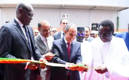 وزير الخارجية يطلق مصنع “سيلتال” لإنتاج الأدوات الكهربائية في السنغال: خطوة جديدة نحو تعزيز الصناعة المصرية في إفريقيا