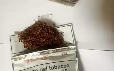 الإفتاء تؤكد: تحرم الشريعة الإسلامية استخدام الحشيش والمخدرات في جميع الأوقات