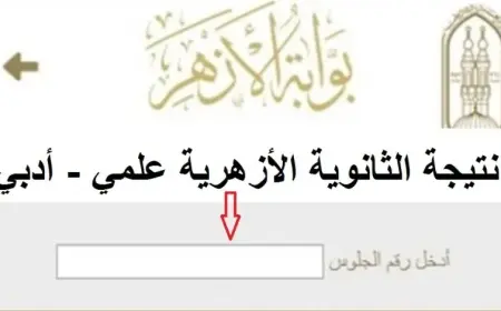 رابط نتيجة الثانوية الأزهرية 2025 برقم الجلوس الآن عبر بوابة الأزهر.. استعلم فورًا علمي وأدبي