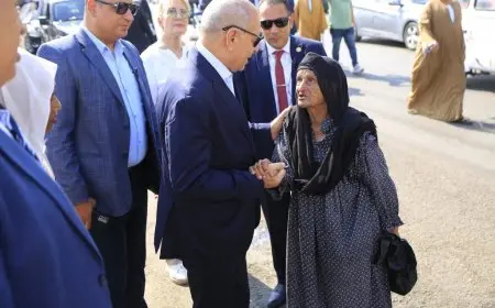“محافظ القاهرة يلبي أمنية مسنّة في الجمالية: نفسي في لحمة!”