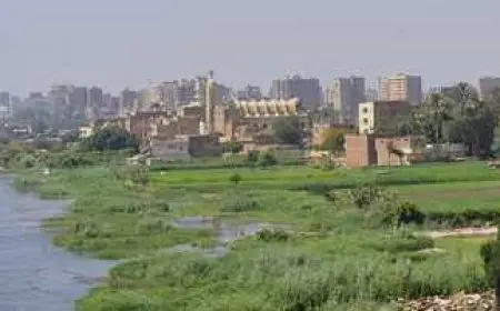 الجيزة: استئناف إمدادات الكهرباء وعودة محطة مياه جزيرة الدهب إلى الخدمة مجددًا