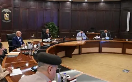 حكومة توجه تحذيراً عاجلاً لمواجهة ظاهرتي رمي الطوب على القطارات واستخدام المخدرات من قبل السائقين