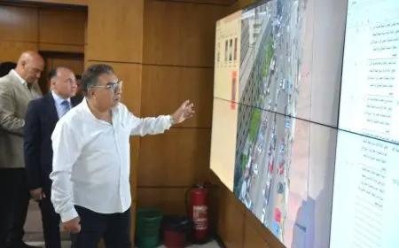 محافظ الدقهلية يجري جولة ميدانية لمتابعة حالة الميادين والشوارع وتحسين الخدمات العامة