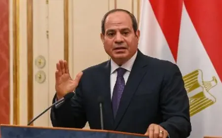 الرئيس السيسي يصف الأوضاع المأساوية في غزة ويؤكد ضرورة إدخال المزيد من المساعدات الإنسانية