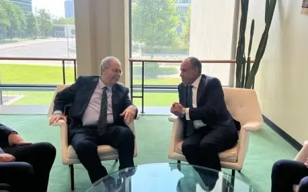 “وزير الخارجية والهجرة يعقد اجتماعا هاما مع نائب رئيس الوزراء اللبناني لتعزيز العلاقات الثنائية”