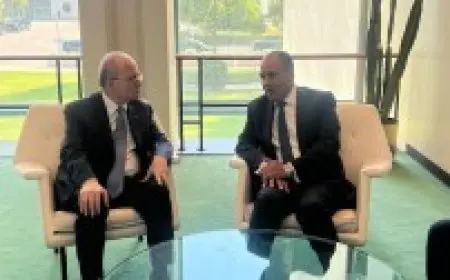 وزير الخارجية يصرح: مصر لن تسمح بتصفية القضية الفلسطينية عبر مخططات التهجير