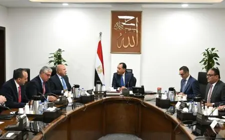 رئيس الوزراء يترأس جهود توطين صناعة السيارات الكهربائية ويؤكد: “نقدم حوافز مبتكرة لدفع التطور”