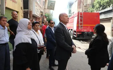 محافظ القاهرة يعلن تشكيل لجنة هندسية لفحص تأثير الحريق على عقار مصر الجديدة