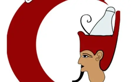 نتيجة الفرقة الأولى في كلية طب سوهاج تثير الجدل بنسبة رسوب تصل إلى 46%!