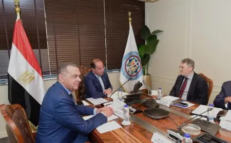 وزير المالية: نسعى لتعزيز التعاون لفتح آفاق جديدة للقطاع الخاص في مسيرة التنمية