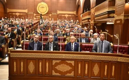 صوتك هو المفتاح.. كل ما تحتاج معرفته عن المشاركة في انتخابات مجلس الشيوخ 2025