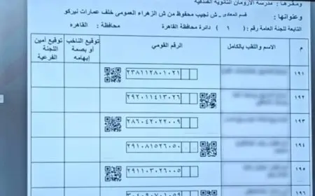125 لجنة فرعية جاهزة: كل ما تحتاج معرفته عن استعدادات انتخابات مجلس الشيوخ 2025