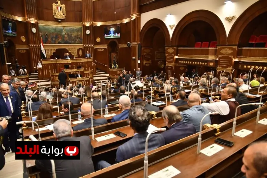 استعدوا لانتخابات مجلس الشيوخ 2025: تفاصيل هامة تهم الناخبين!