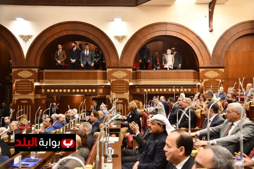 انتخابات مجلس الشيوخ للخارج: تحديد يومي 1 و2 أغسطس للاقتراع!