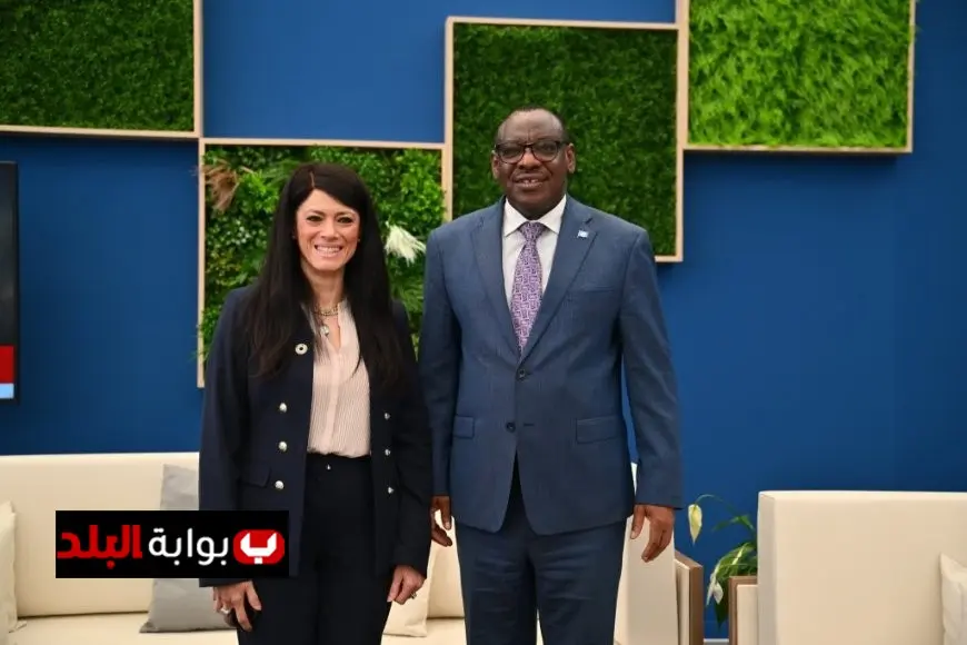 تعزيز التعاون الدولي: وزيرة التخطيط تلتقي ممثلي لجنتي أفريقيا وغربي آسيا لتعزيز الشراكات الأممية