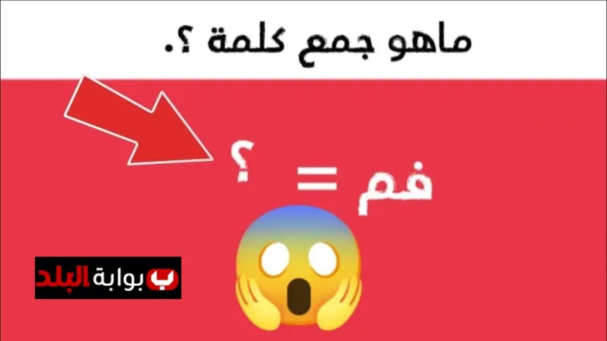 ما سر الحيرة وراء جمع “فم”؟ خبير لغوي يكشف التفاصيل ويثير فضول الطلاب!