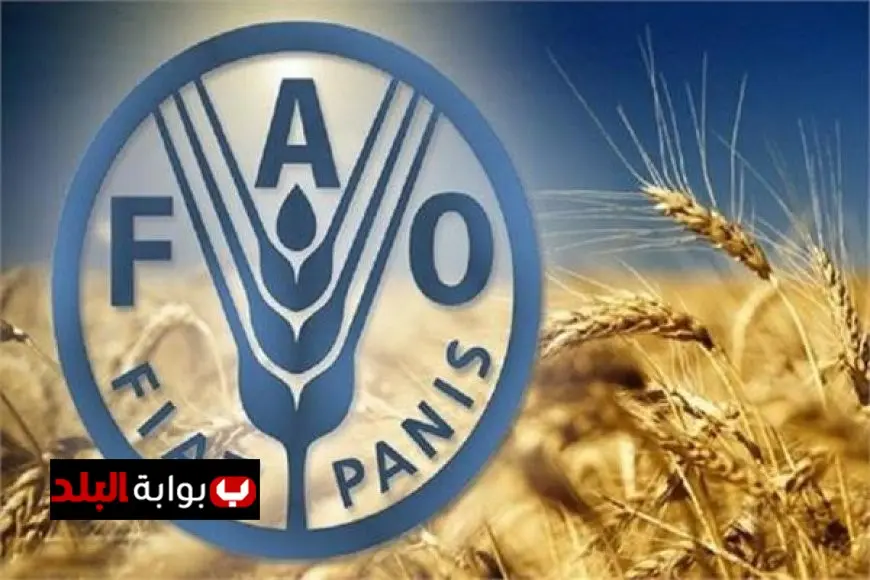 مصر تحقق إنجازًا تاريخيًا: اختيار أول رئيس عربي لمجلس الفاو!