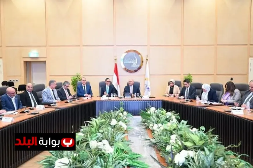 مصر تعزز مستقبل السيارات الكهربائية من خلال تعديلات مغرية للمصنعين المحليين والمصدرين